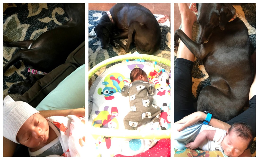 Emma and Everitt collage.jpg