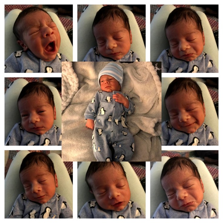 Everitt Collage .jpg